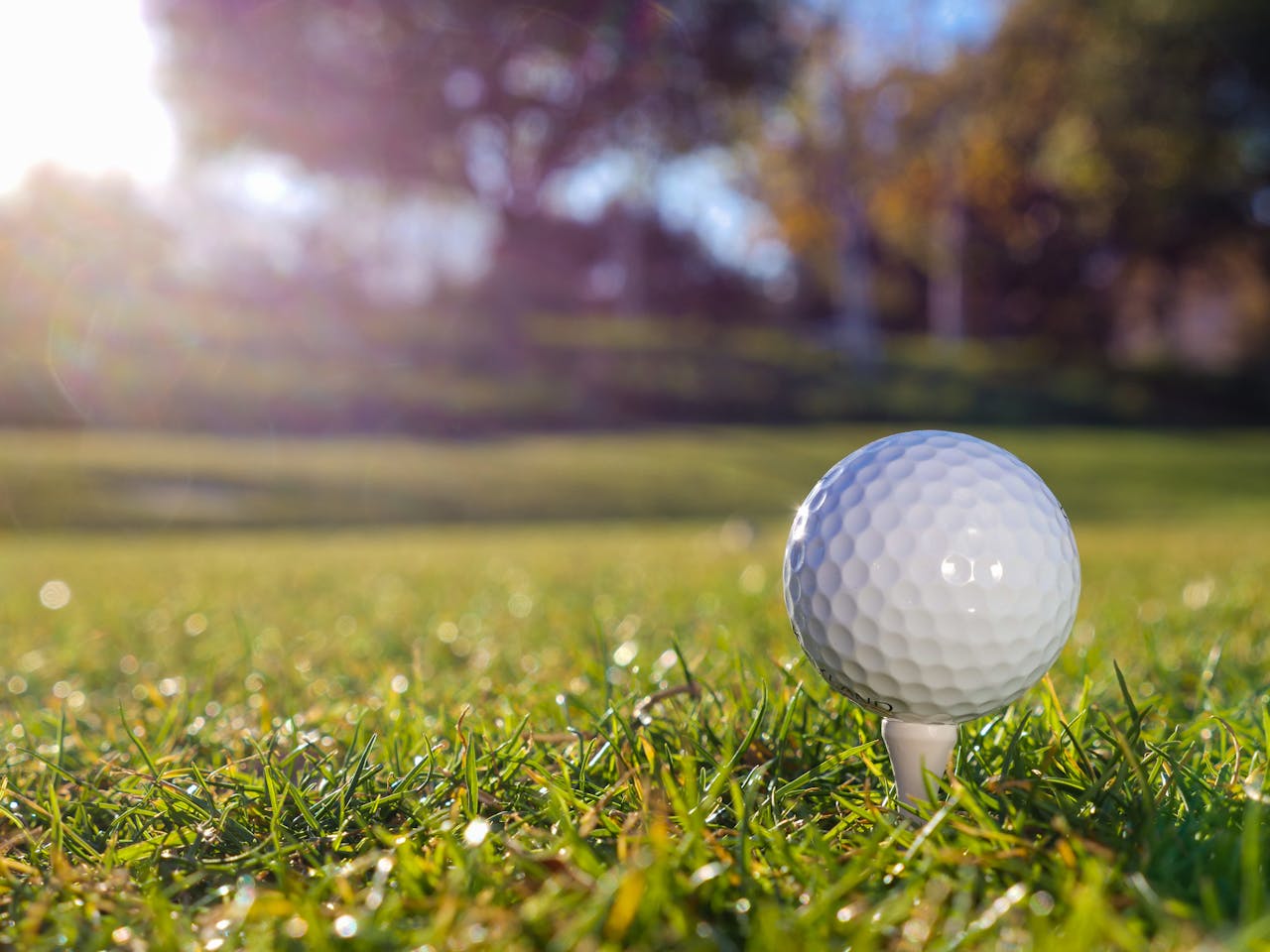 Golf ball on a tee ready for a sunny day of golfing on a lush green field.